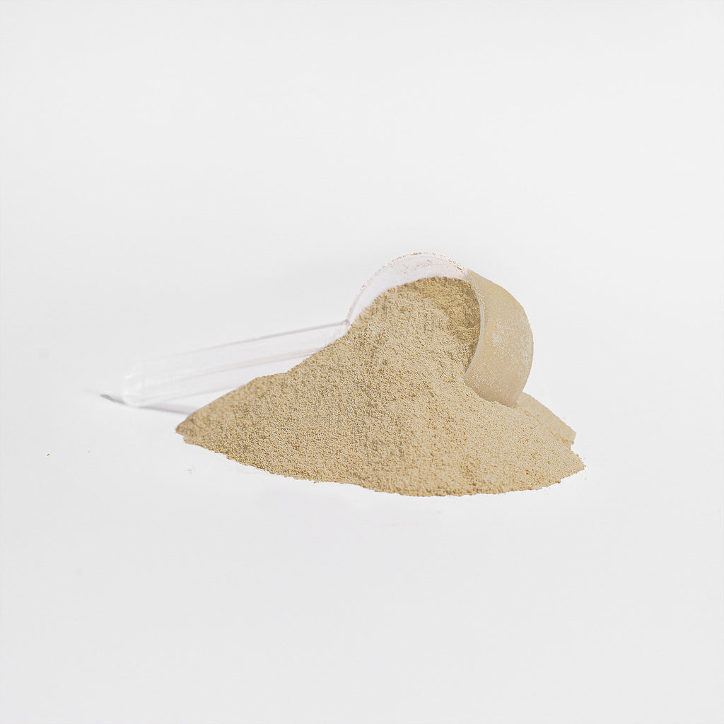 Advanced 100% Whey Protein Isolate Available in Chocolate & Vanilla