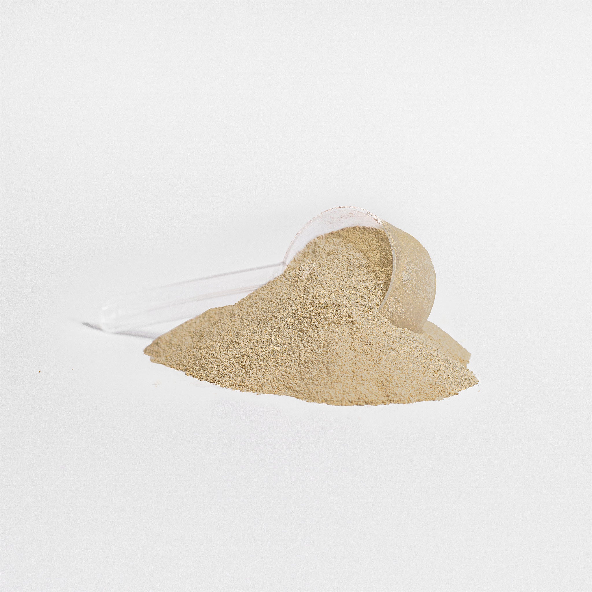 Advanced 100% Whey Protein Isolate Available in Chocolate & Vanilla