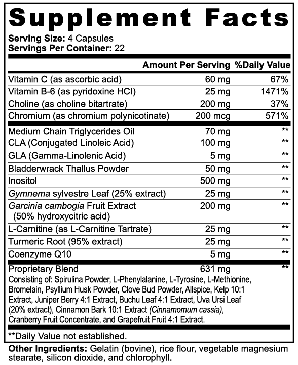 Fat Burner with Choline & MCT